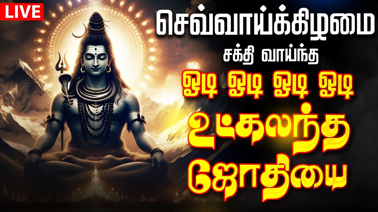 🔴LIVE SONG | ஓடி ஓடி ஓடி ஓடி உட்கலந்த ஜோதியை odi odi utkalantha jothi Full Sivan Song Live