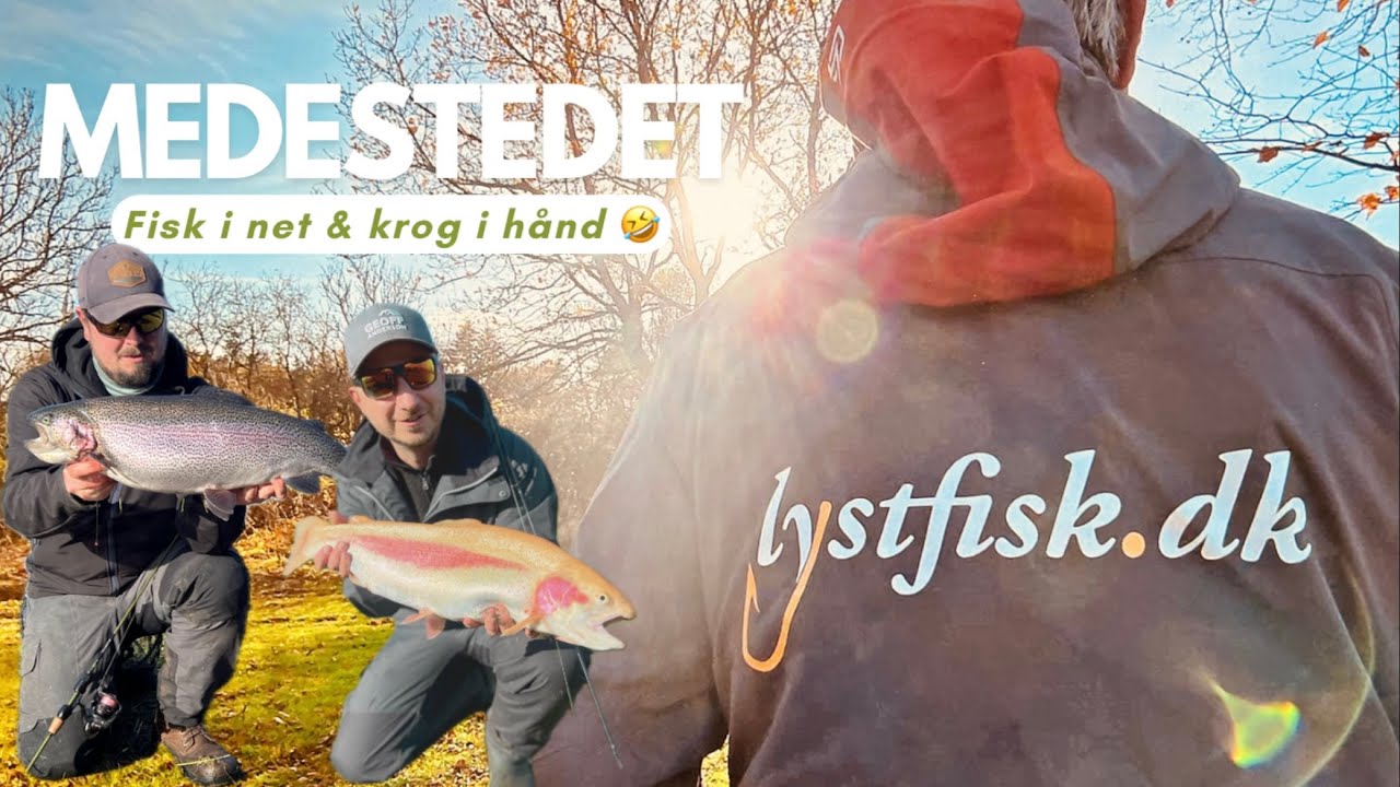 Guld&oslash;rrede, grill og kirurgisk indgreb | Medestedet 2 november | Med Rene fra Lystfisk.dk