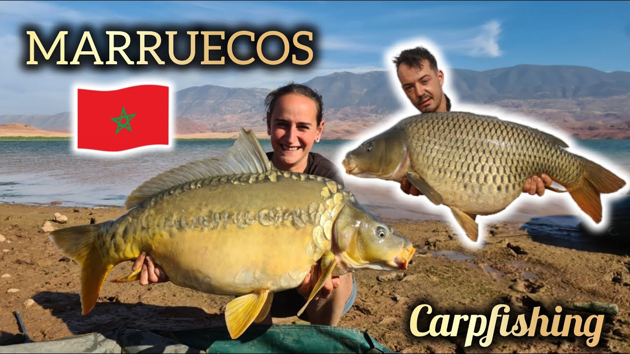 CARPFISHING MARRUECOS Lago Bin El Ouidane MoroccoCarp