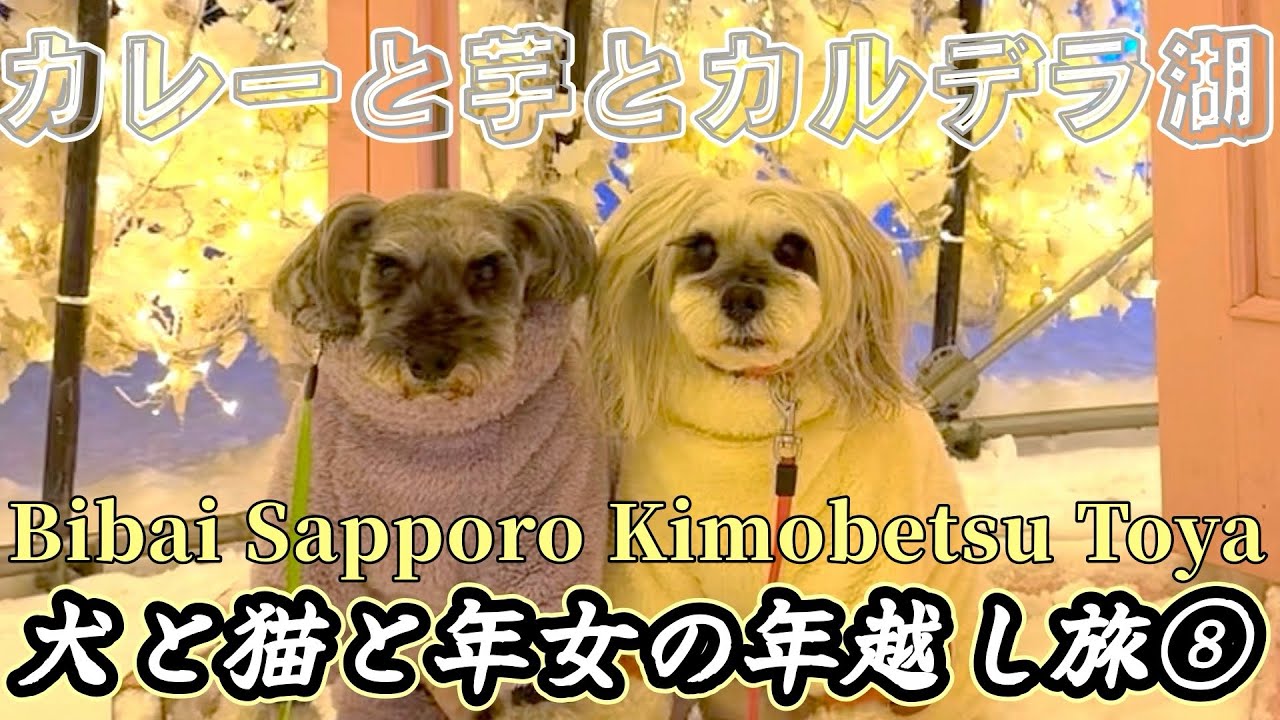【年越し旅/北海道⑧】犬と猫とわたしの車旅〜浸かって極楽🤤♨️見て極楽🤩🌈〜