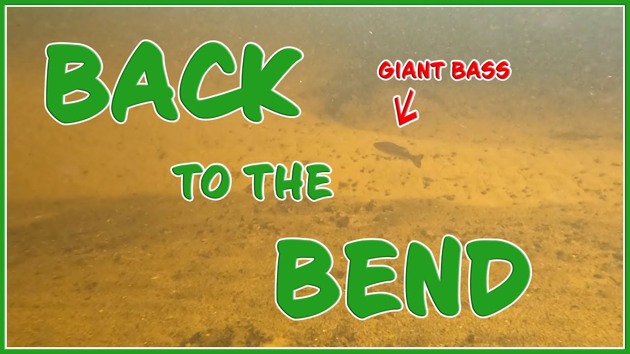 Back to the Bend - 1/7/26