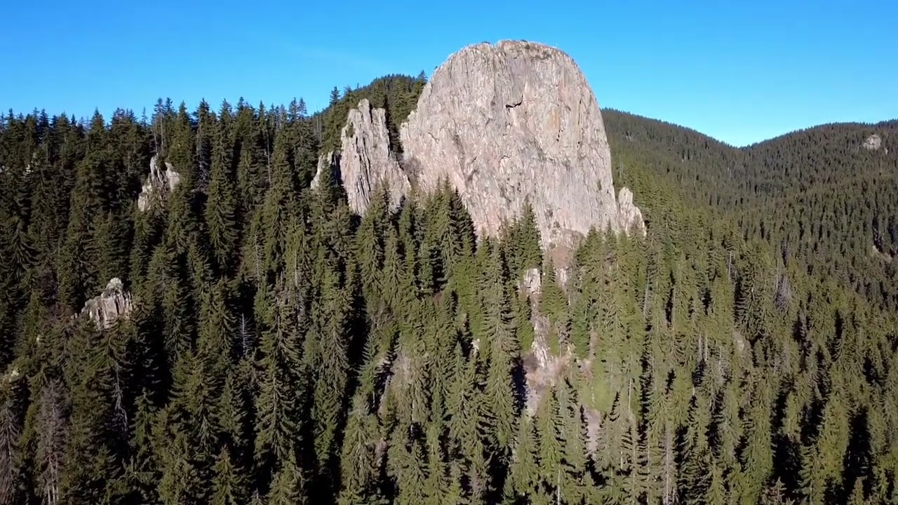 4K Drone Footage Mountain Aerial view Scenic Panorama Landscape nature pine forests in Bulgaria 🇧🇬