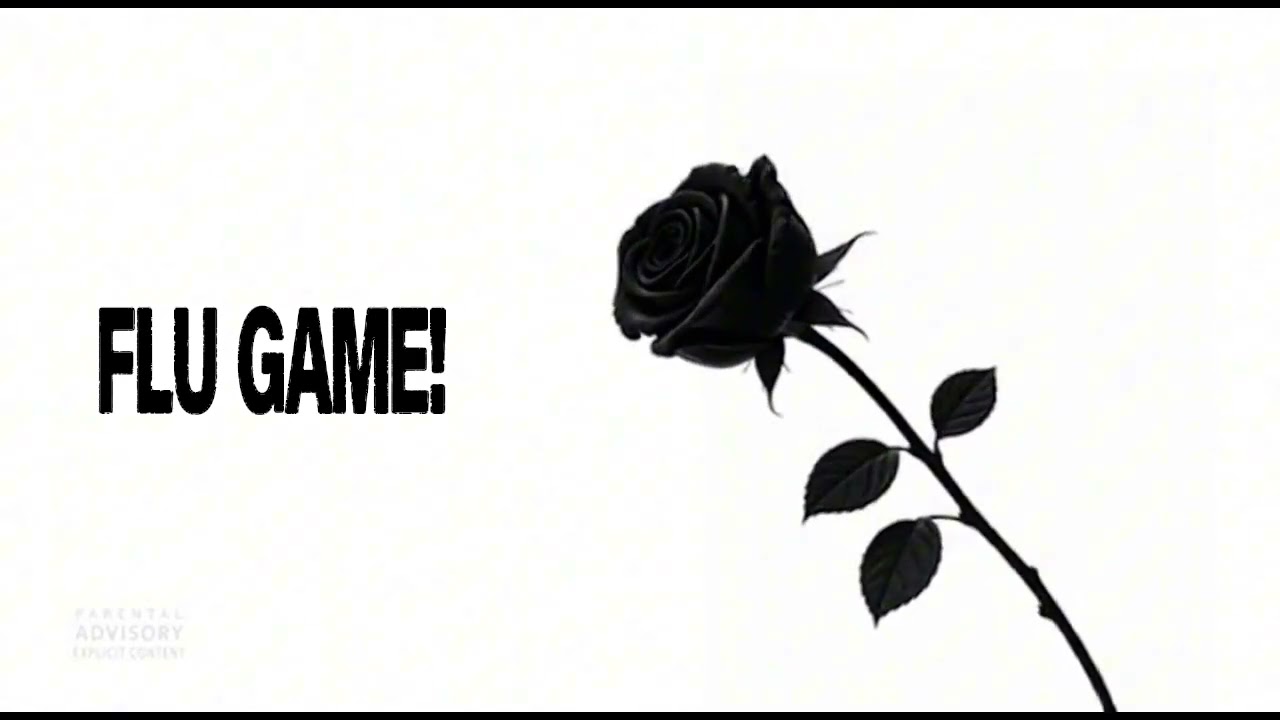 FLU GAME!