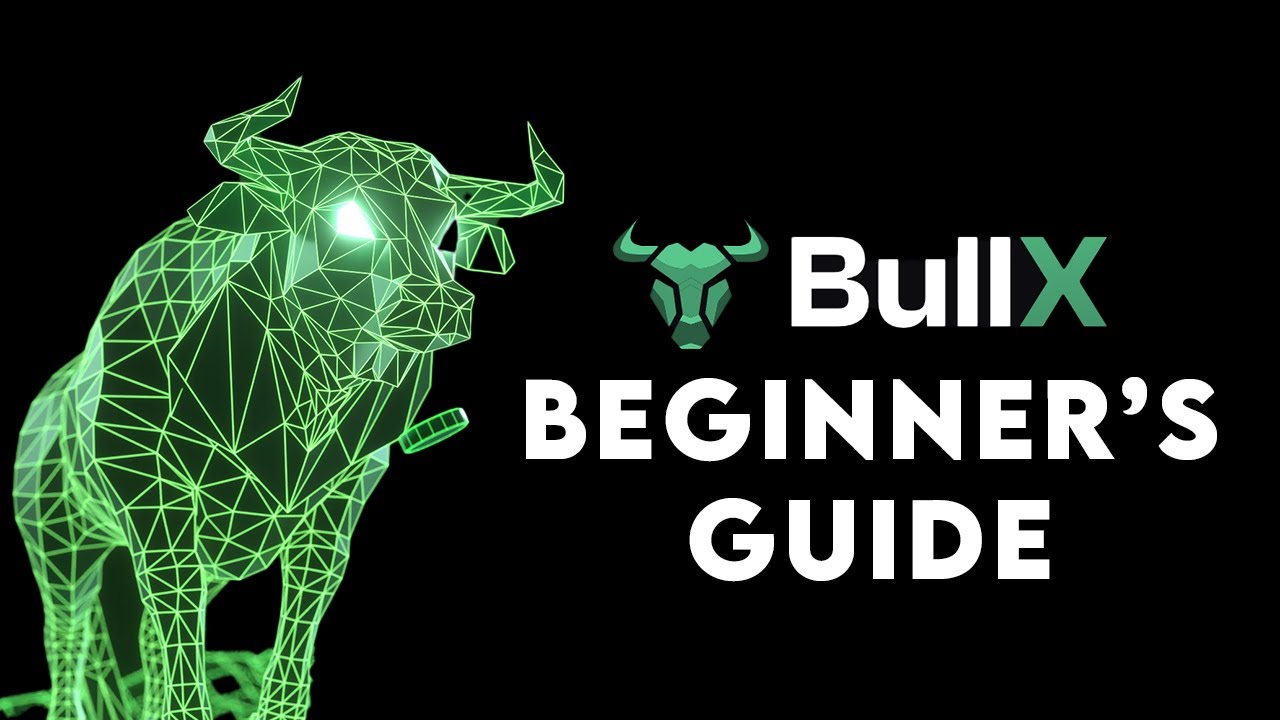 BullX | Beginner's Guide