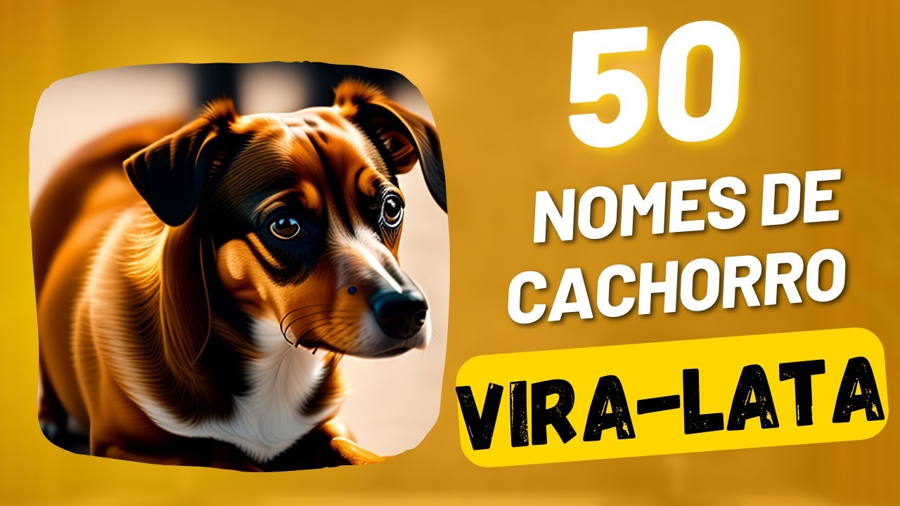 Nomes de cachorro VIRA-LATA