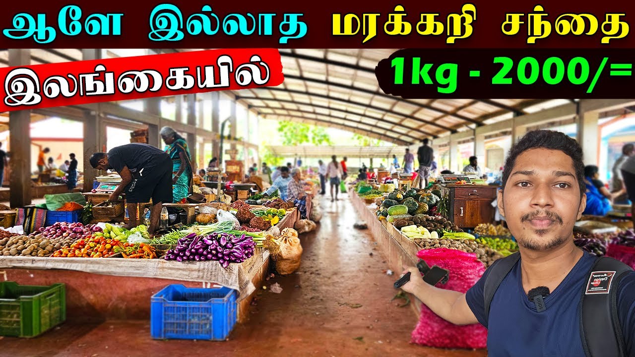 🛑 இலங்கையில் நெருப்பு விலையில் மரக்கறி | Sri Lankan Vegetable Market | Jaffna | Ks  Shankar