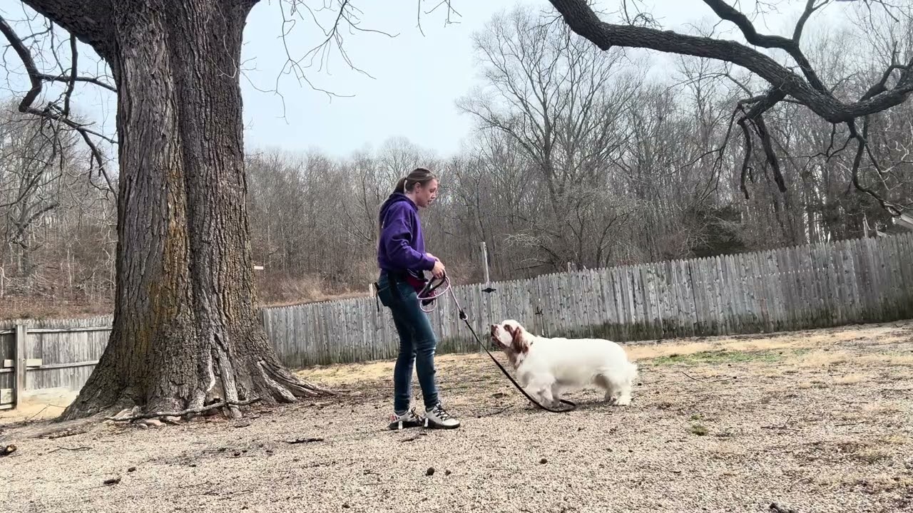 Hiker-come with distractions 