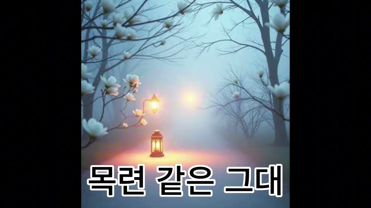 목련 같은 그대_케네디김