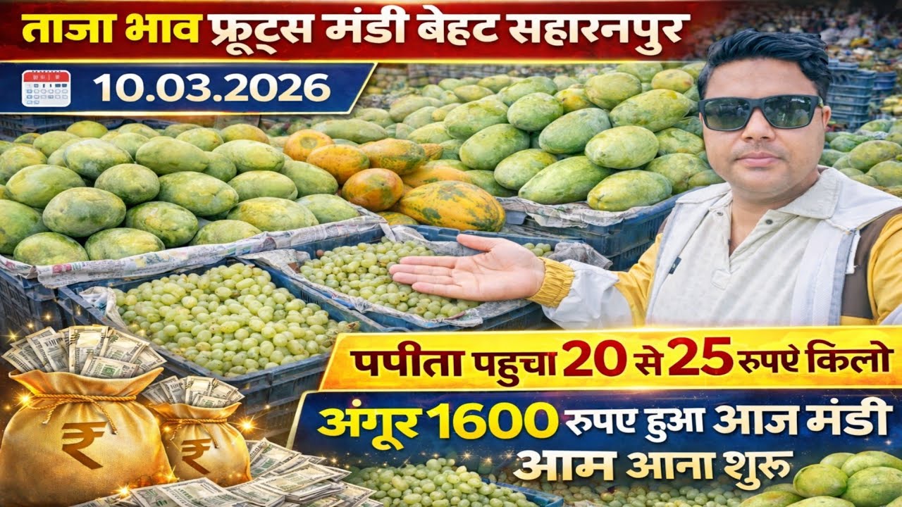 Vlogs👉ताजा भाव फ्रूट्स मंडी बेहट सहारनपुर ! Vagitables Fruits mandi Behat Saharanpur 