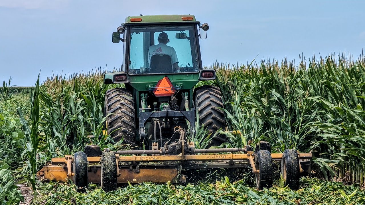 John Deere 4630 Shredding Seed Corn