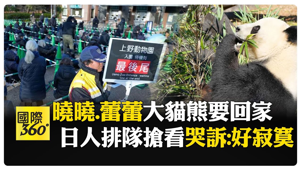 最後機會!千人擁入上野動物園搶看貓熊說再見 每人限看1分鐘還得看運氣【國際360】20251217@全球大視野Global_Vision