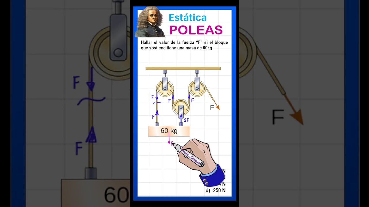 EST&Aacute;TICA   POLEAS