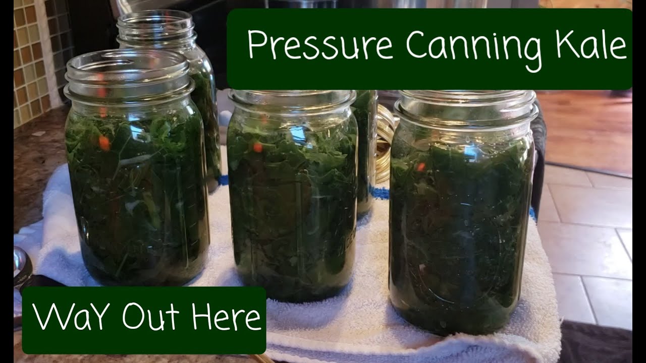 Pressure Canning Kale -WaY Out Here