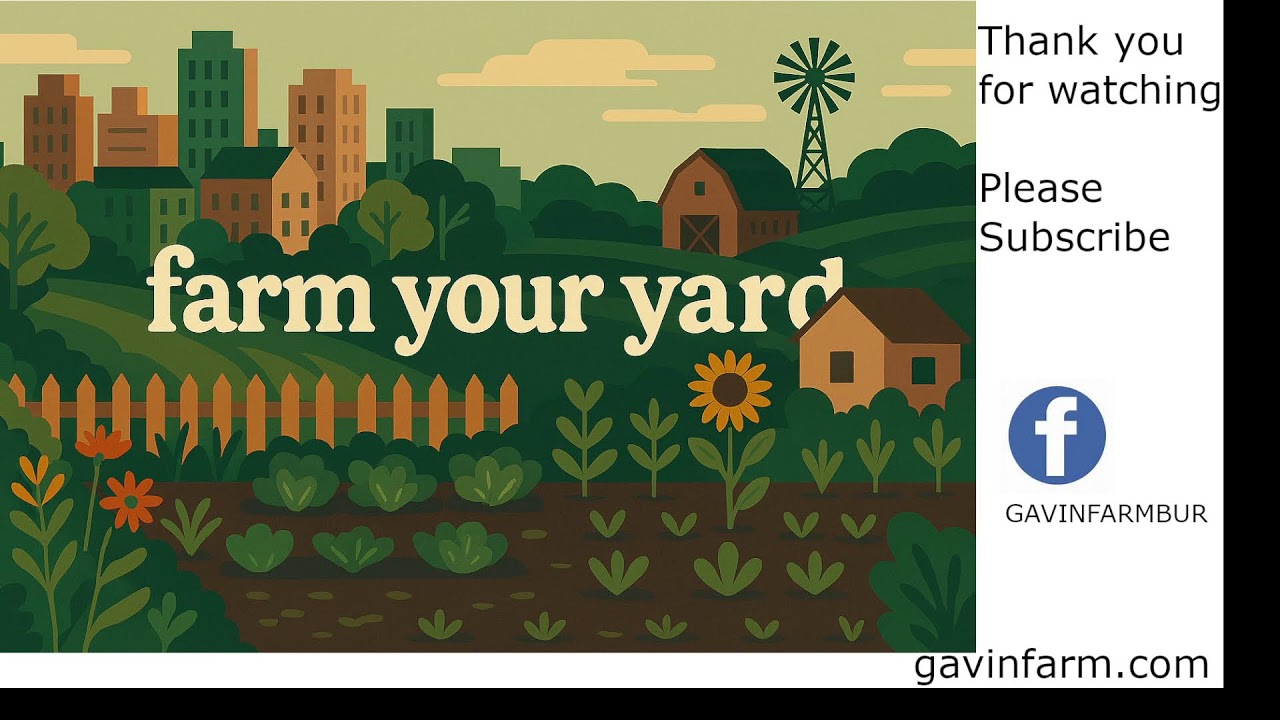 Farming Simulator 25 No One's Land
