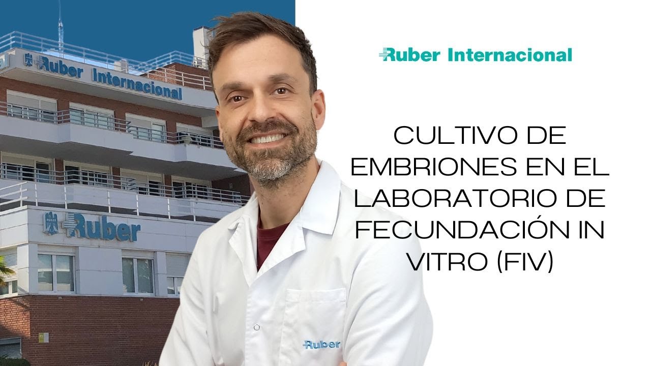 Cultivo de embriones en el Laboratorio de Fecundación in vitro (FIV) | Dr. Yosu Franco