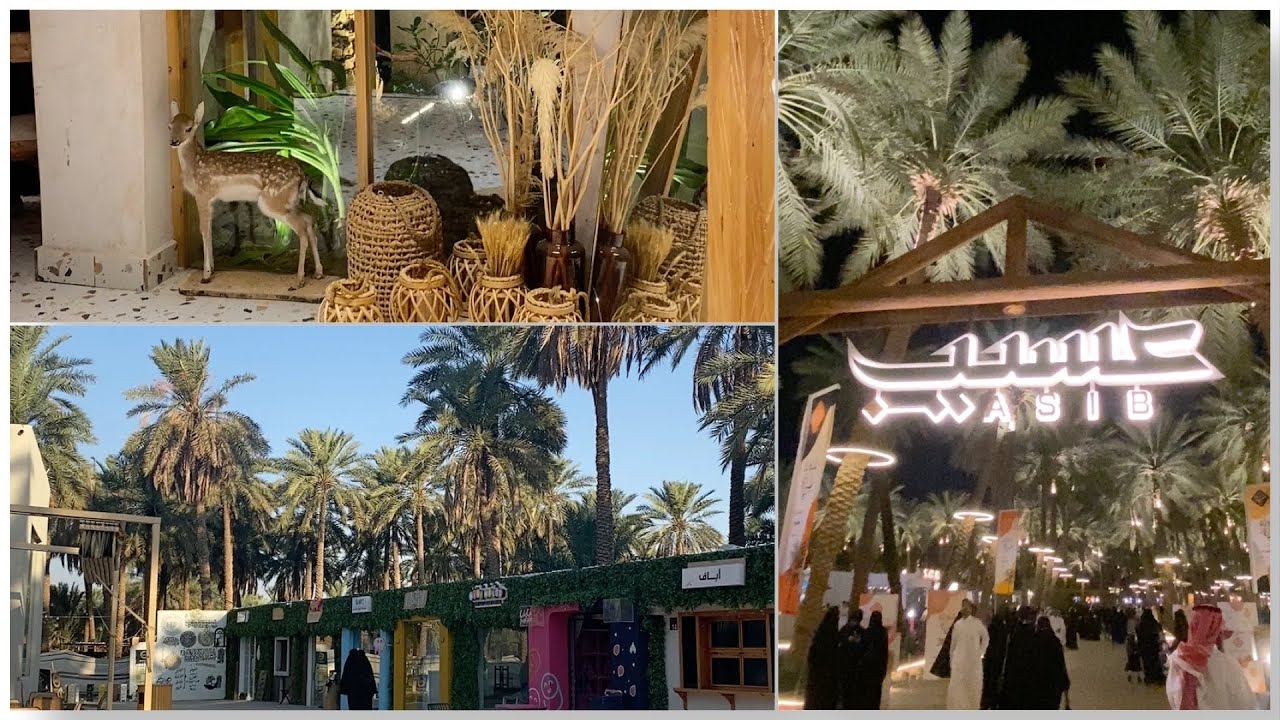 فلوق القصيم | مزرعة عسيب و جولدن هليز 🌴