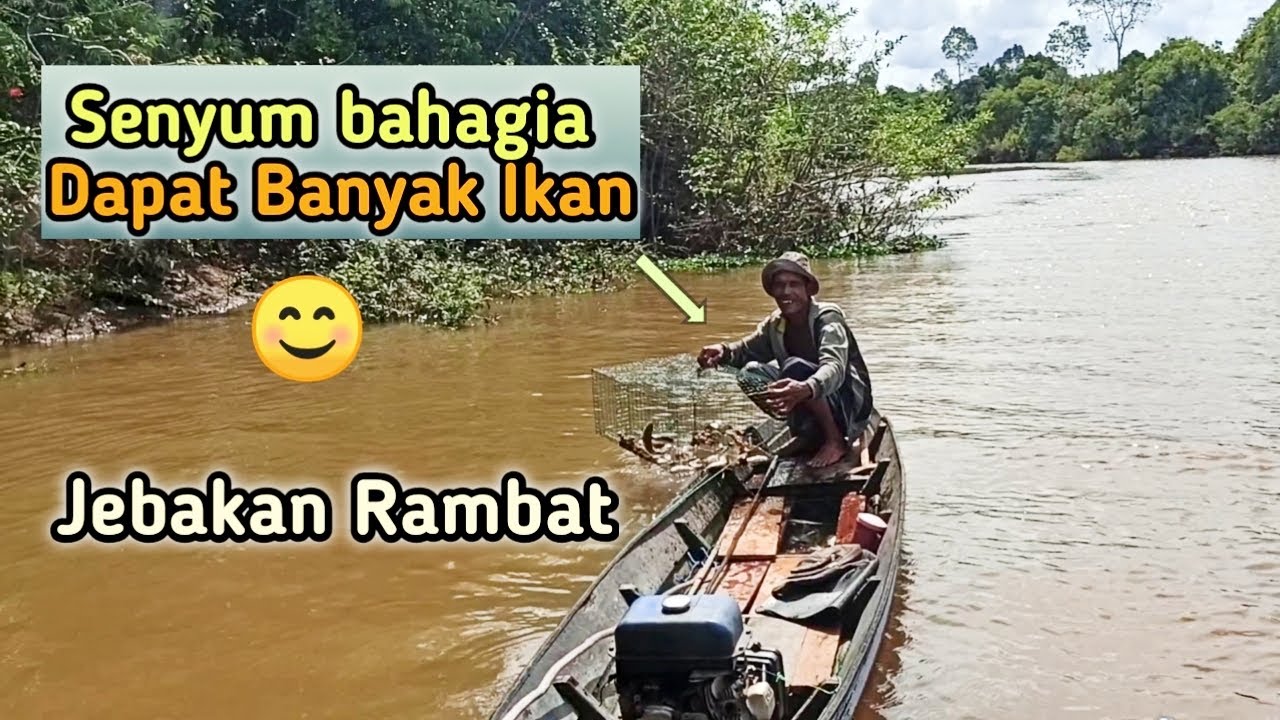 JEBAKAN RAMBAT - BERBAGAI JENIS IKAN TERPERANGKAP || FISH TRAP INDONESIA