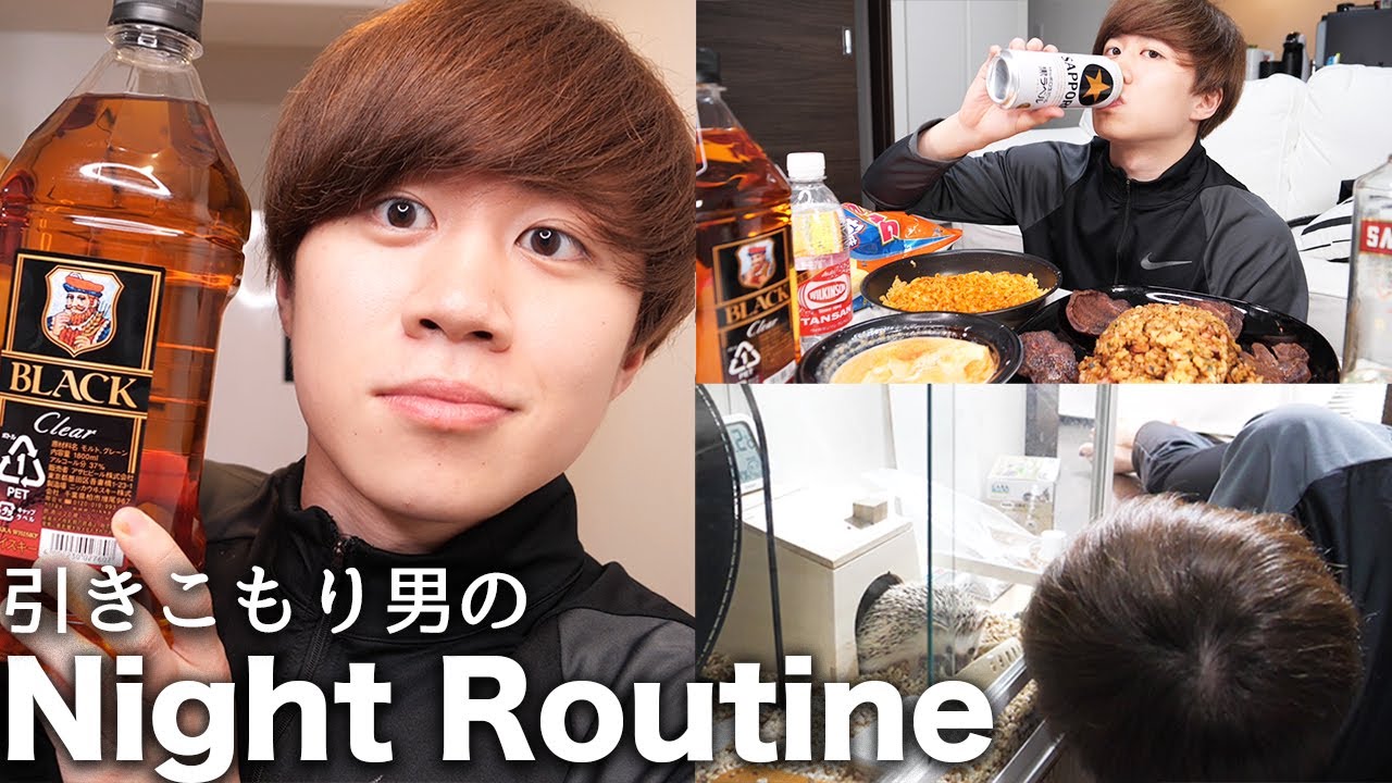 20代引きこもり男子のさみしい夜【ナイトルーティン】