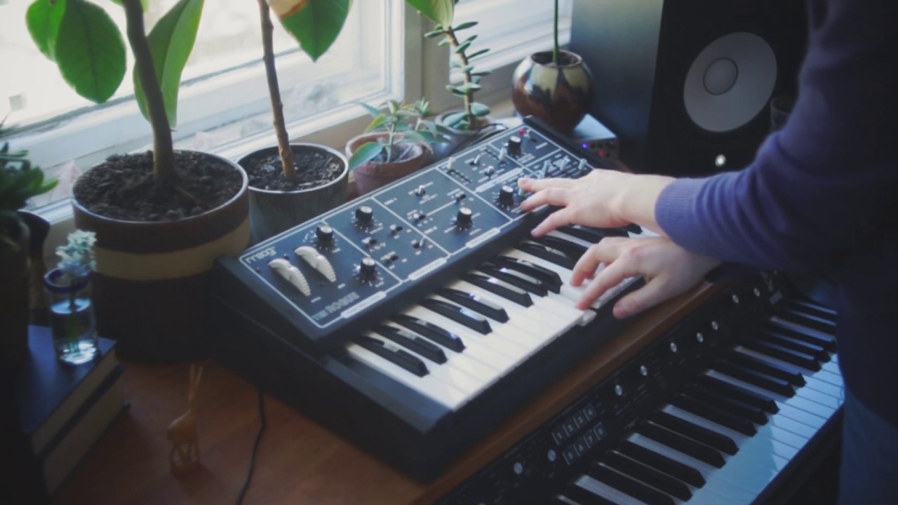 Moog Rogue │ Goodhertz WOW