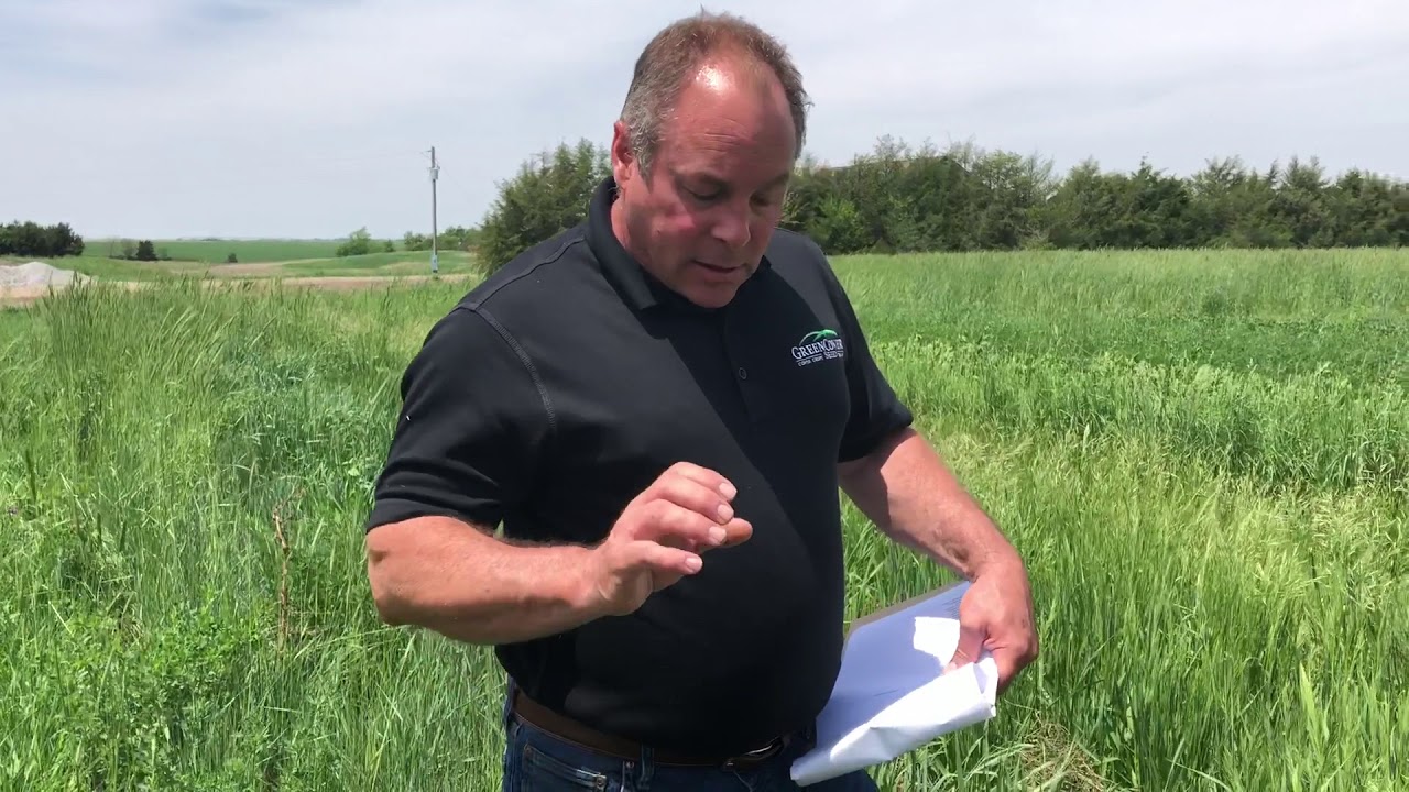 Dale Strickler | Perennial Forage Test Plot | Winter Survival
