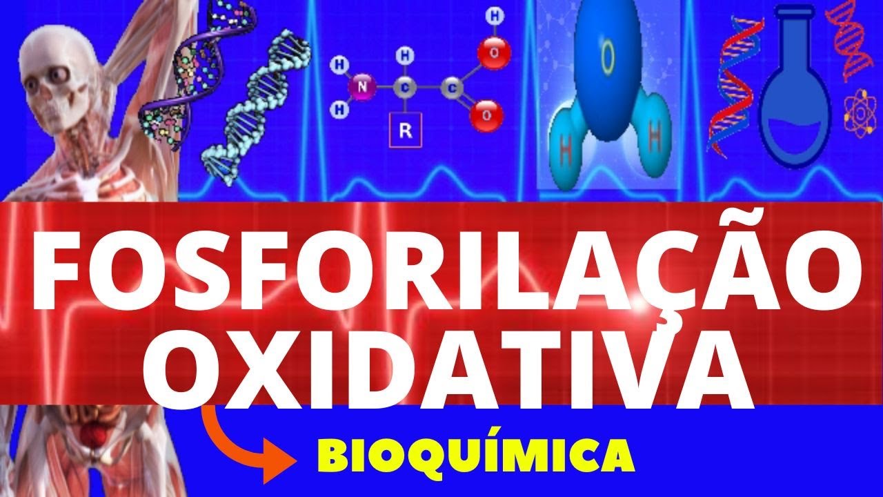 FOSFORILAÇÃO OXIDATIVA (CADEIA TRANSPORTADORA DE ELÉTRONS) - CADEIA RESPIRATÓRIA| RESPIRAÇÃO CELULAR