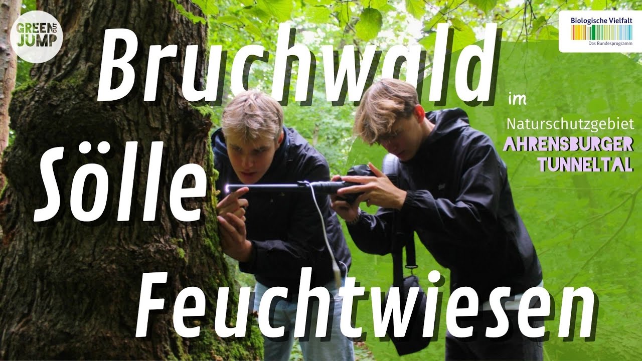 Bruchwald, S&ouml;lle & Feuchtwiesen im Naturschutzgebiet Ahrensburger Tunneltal