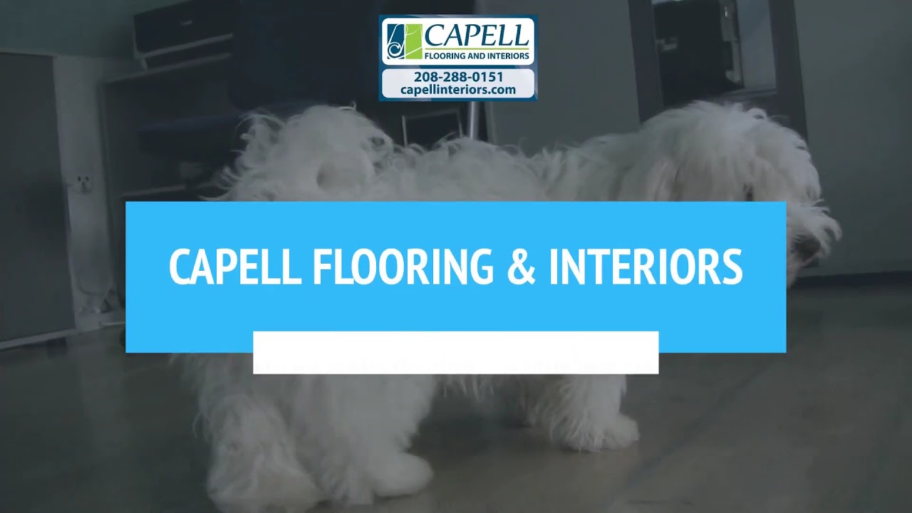 Please Come Shop with Us For Flooring in Boise - Come See Us #capellflooring