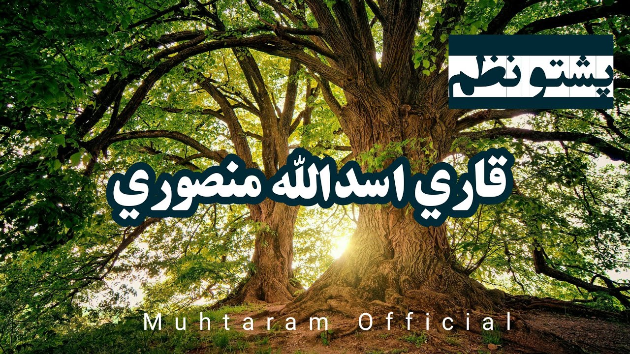 Pashto Nazam Qari Asad Ullah mansoory , Qari Javed sherzad