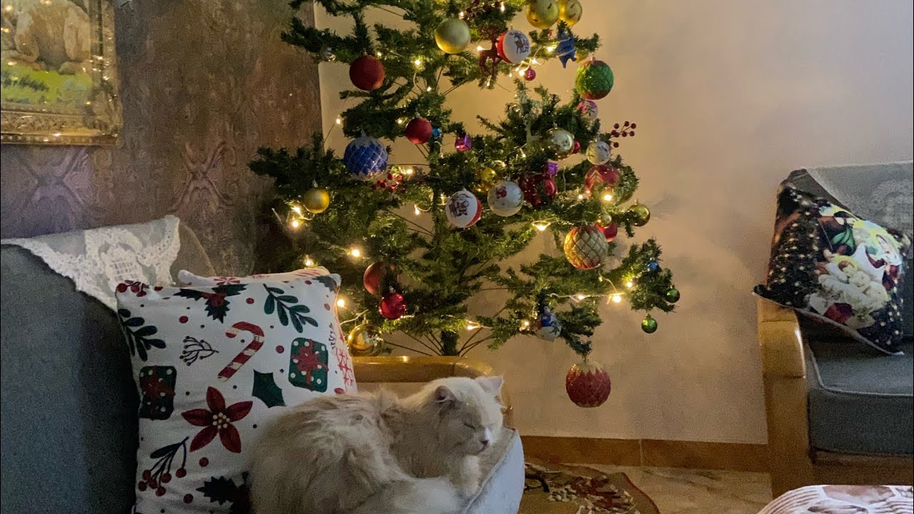 تزيين شجره الكريسماس 🎄🎅2026 يارب سنه تكون سعيده 🥰  ربنا يفرح قلوبنا جميعا 🙏❤️