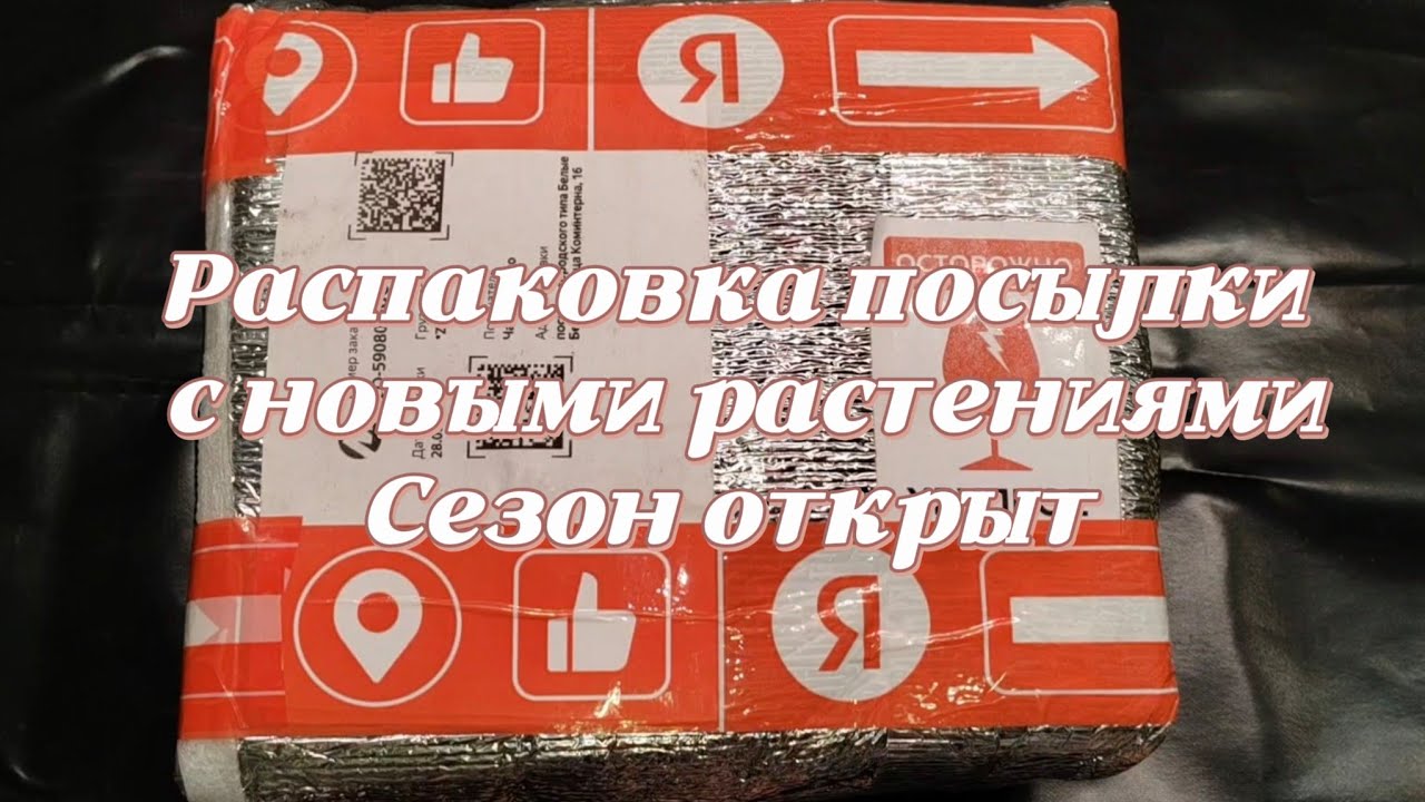 РАСПАКОВКА ПОСЫЛКИ С НОВЫМИ РАСТЕНИЯМИ🌿 | СЕЗОН ОТКРЫТ