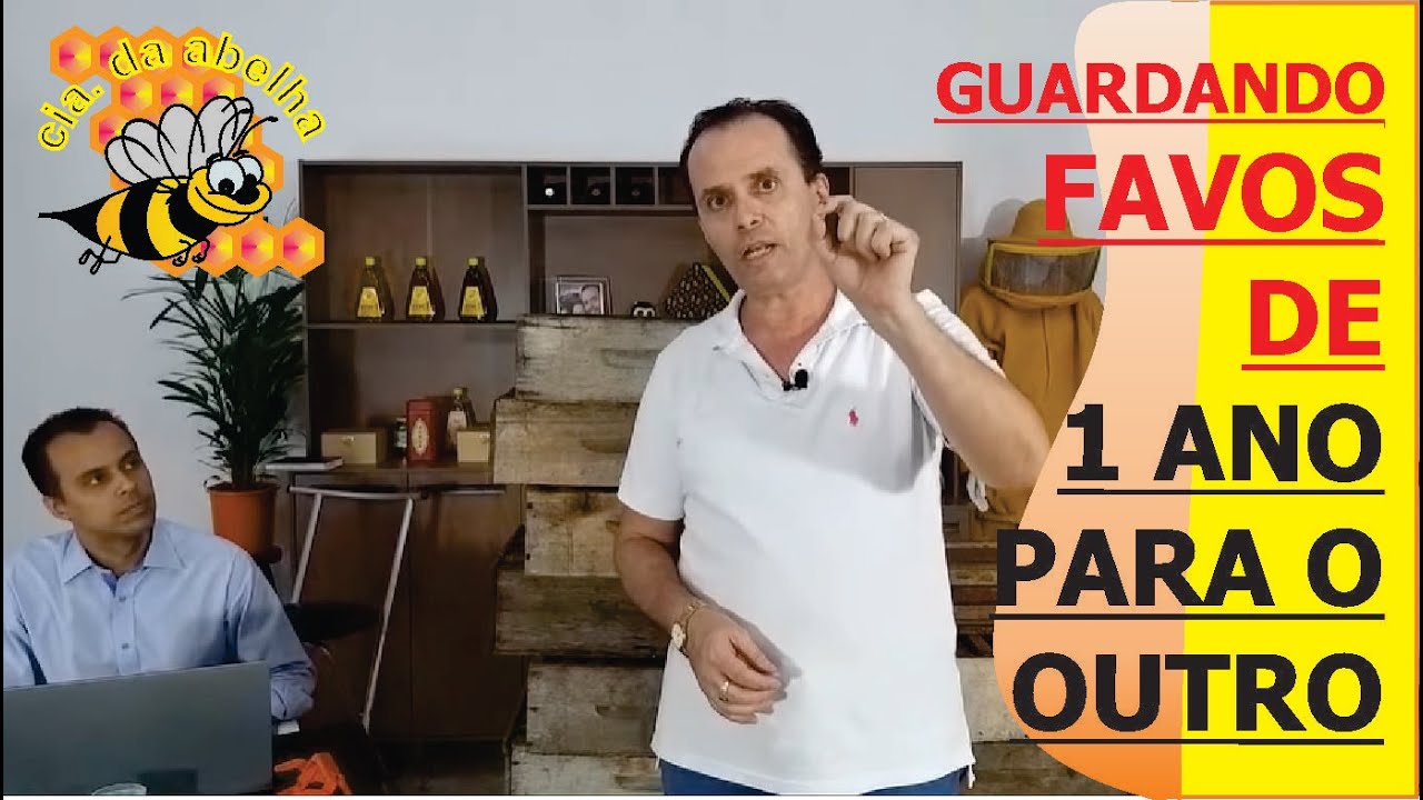 COMO GUARDAR FAVOS DE 1 ANO PARA O OUTRO