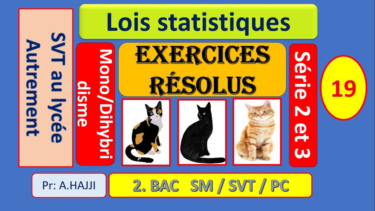Exercices résolus sur les lois statistiques - Mono et dihybridisme - séries n°2 et 3