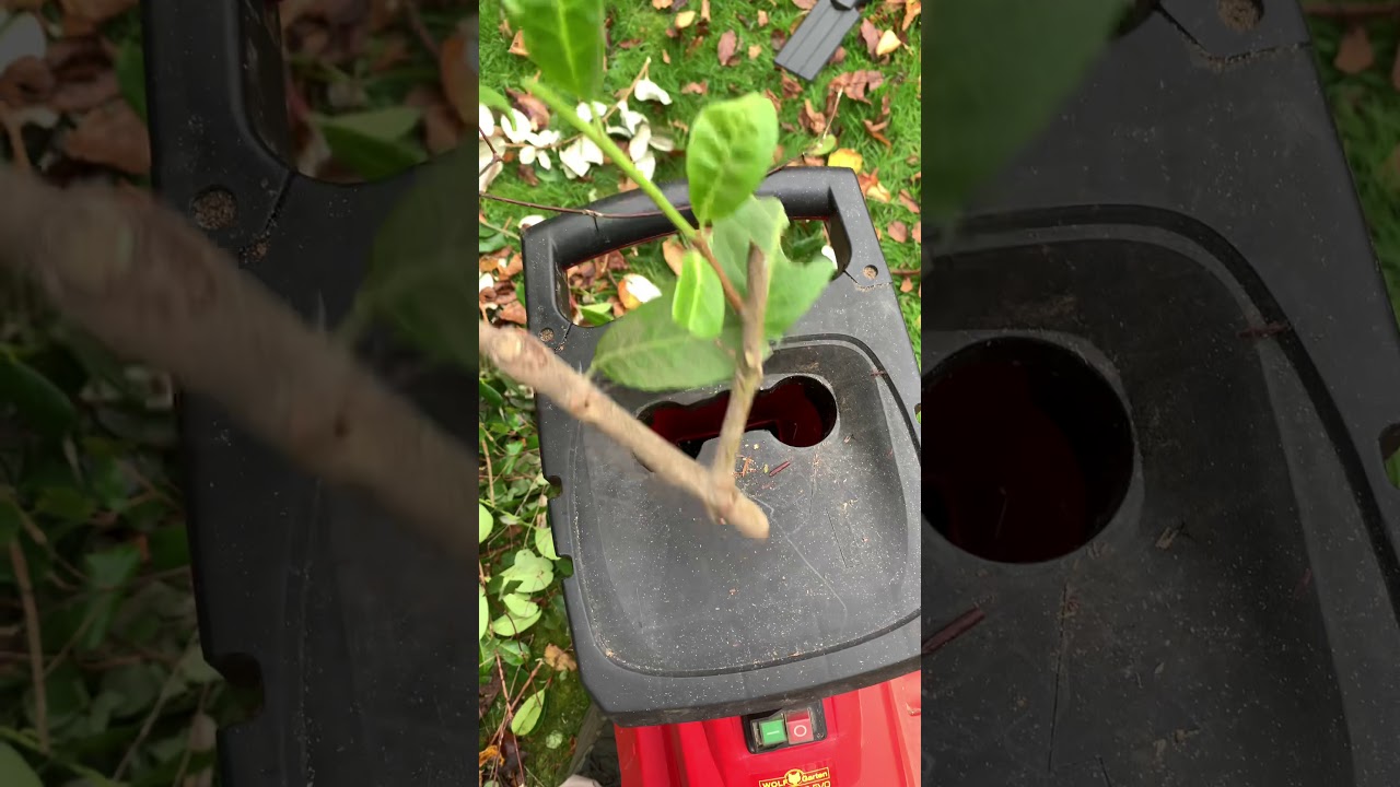 Feedback sur Wolf Garten SDL 2800 EVO