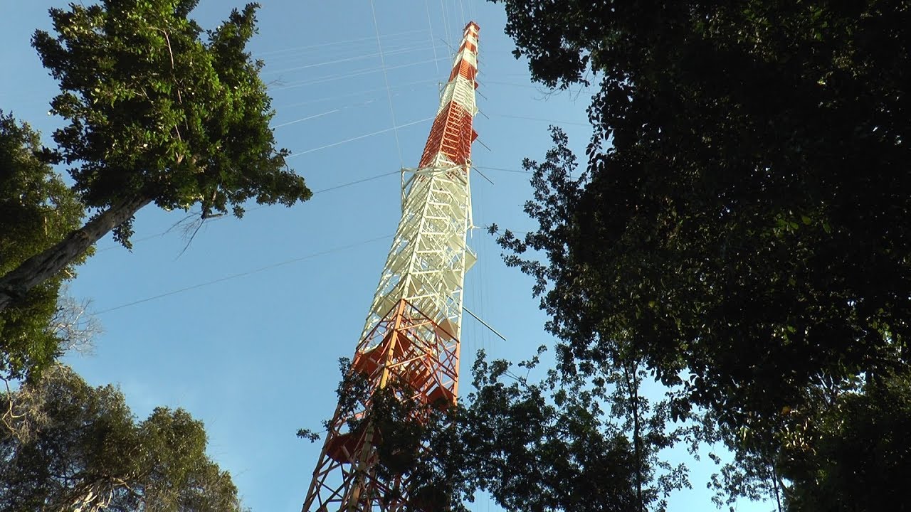 Projeto ATTO: Observat&oacute;rio da Torre Alta da Amaz&ocirc;nia