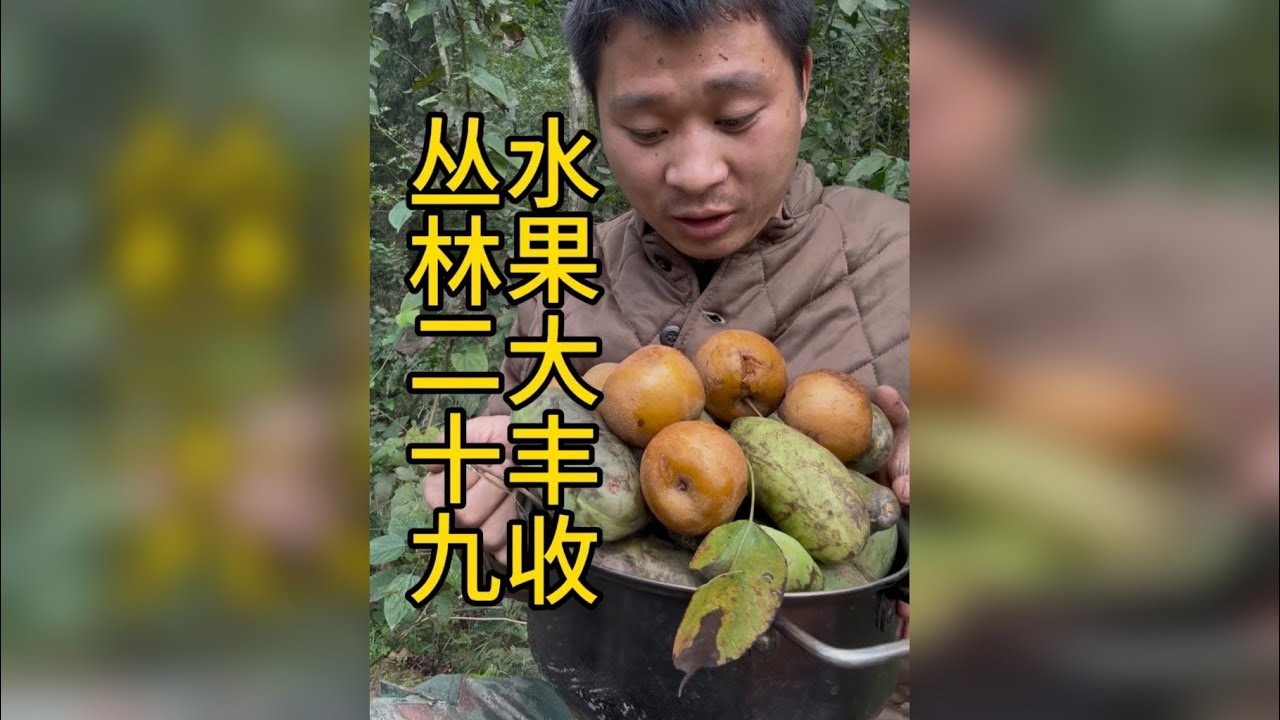 丛林二十九 这个小伙在山上煮牛大力充饥，还遇到了汪汪队，收获了这么多水果，快来看看发生了什么吧