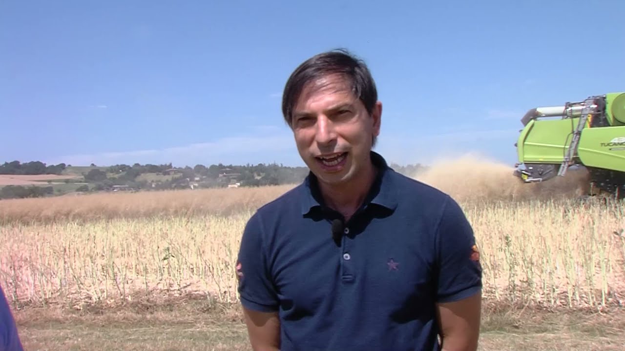 Circular Agronomics 2021 - Raccolta colza in agricoltura conservativa
