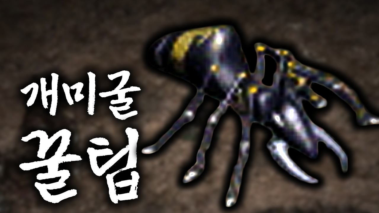 [리니지 클래식] 개미굴 개꿀팁