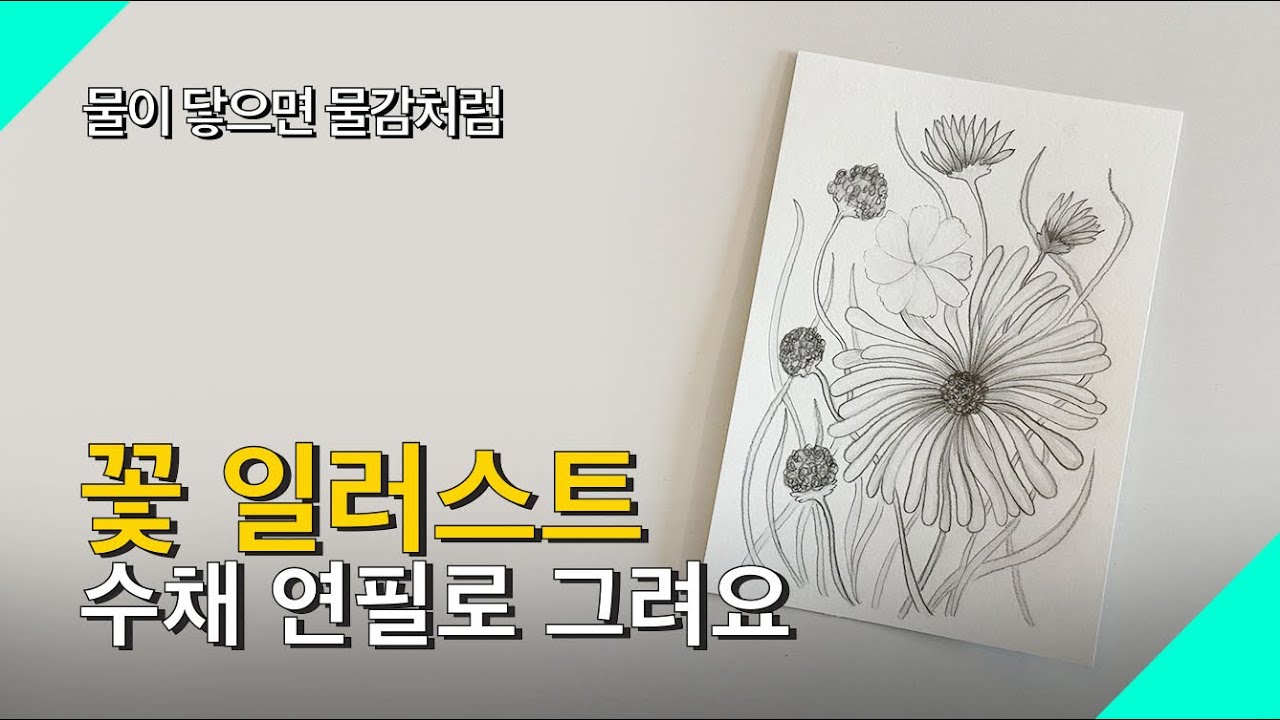 롼쌤 아트 | 물이 닿으면 물감처럼 꽃 일러스트 수채 연필로 그려요!