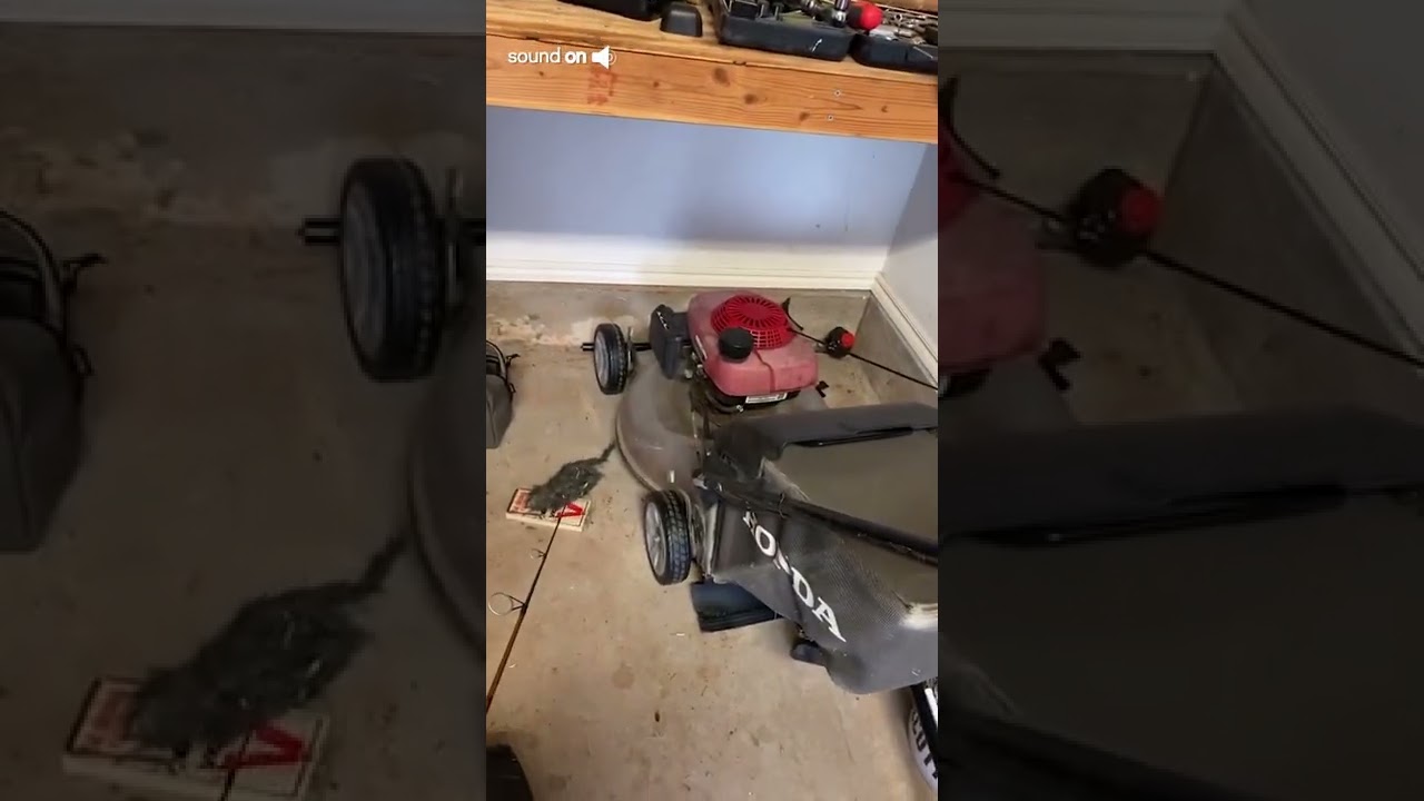 Hilarious Man Finds GIANT Rat in His Garage!