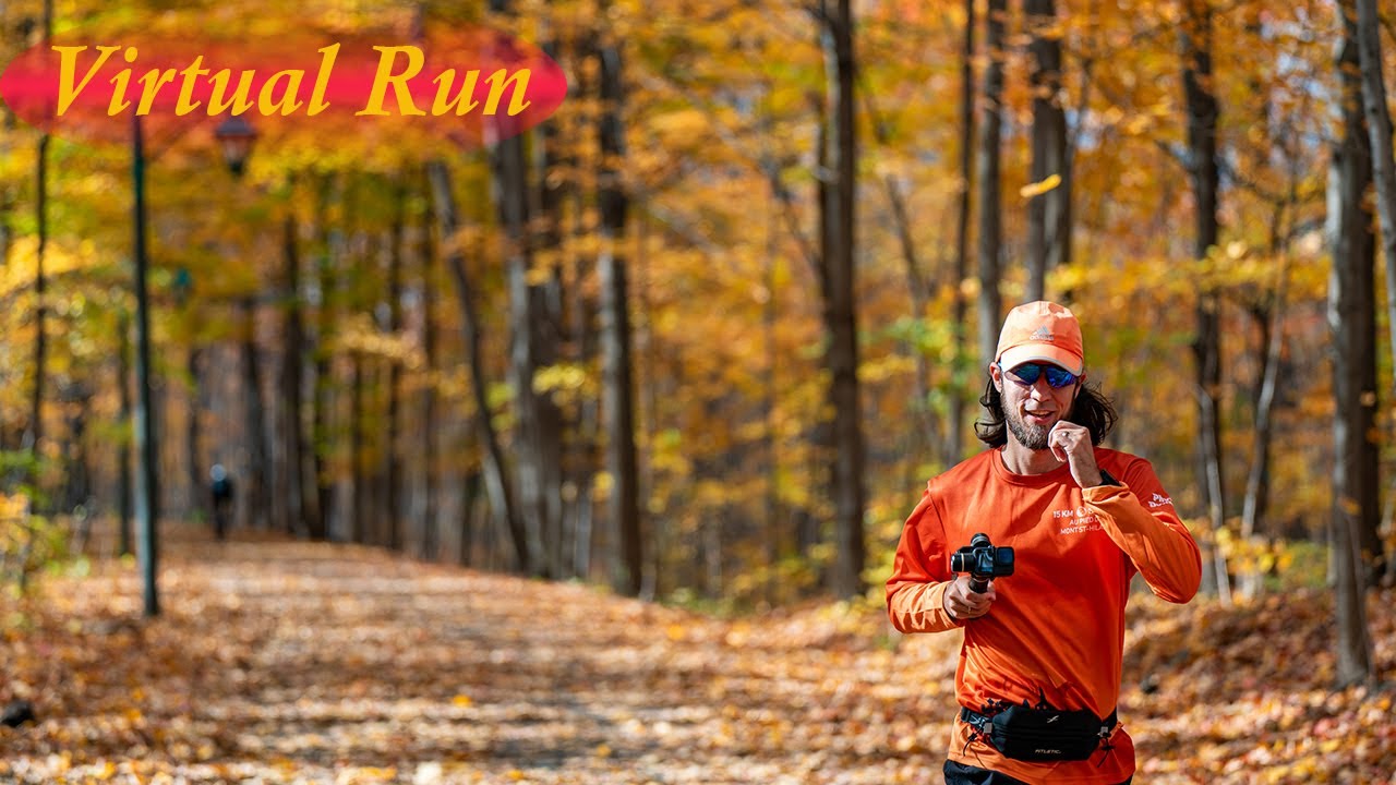 Virtual Run - Video for Treadmill - Autumn Colors in Motion