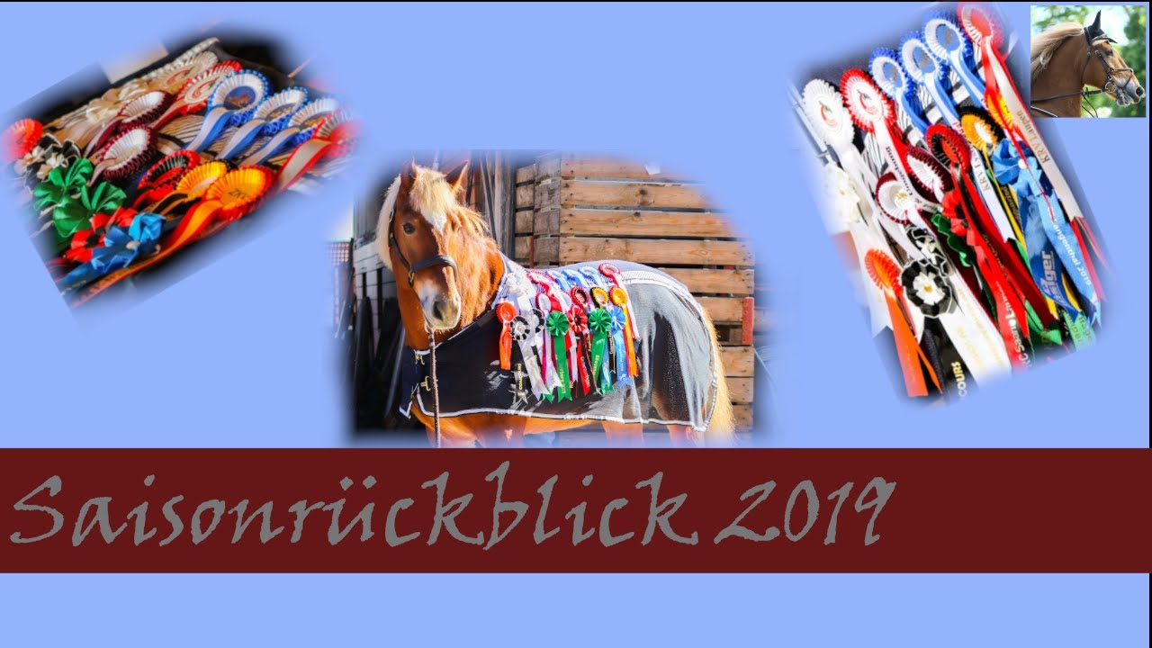 Saisonrückblick 2019 | Leming CH