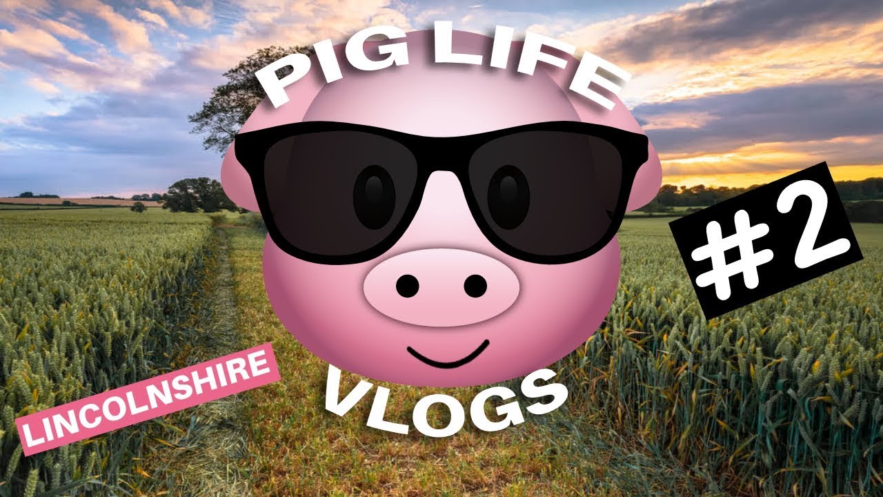 Pig Life Vlog - Road Trip To Lincolnshire!
