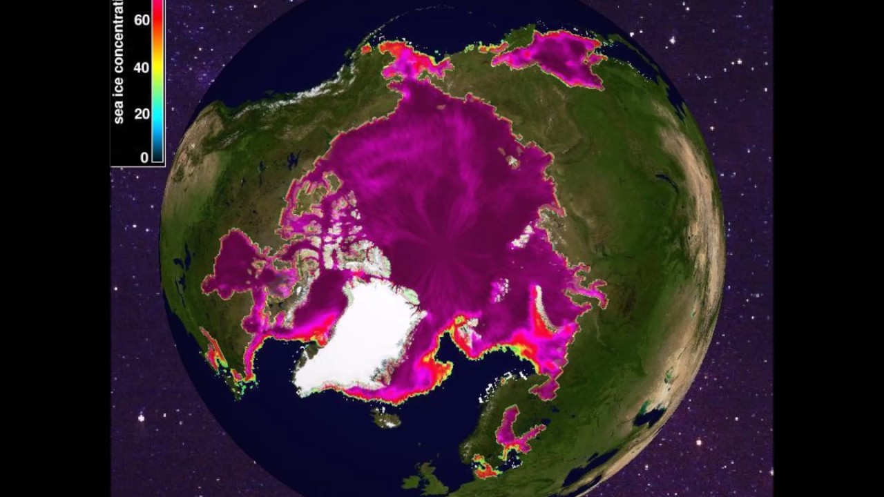 1979 Maximum Sea Ice Concentration