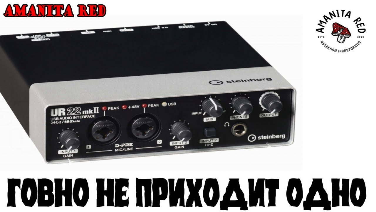 STEINBERG UR22 MKII / Говно Не Приходит Одно! Новая звуковая Карта не Работает!
