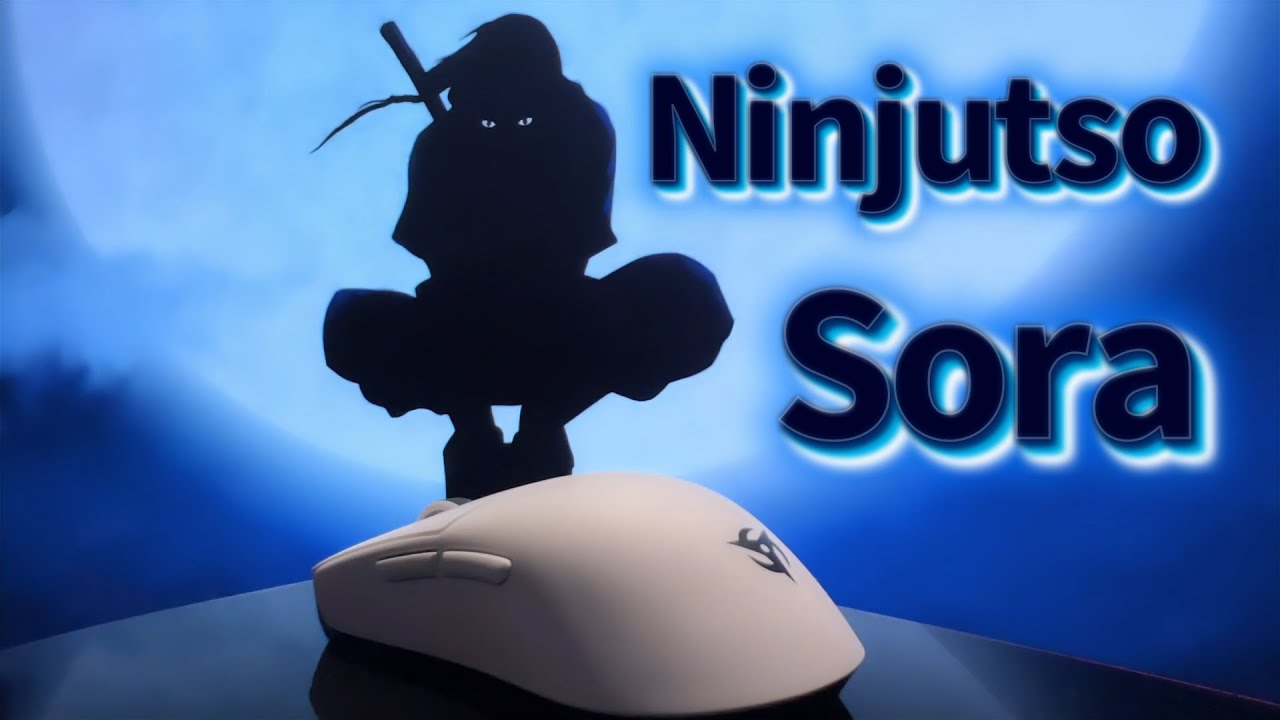 Ninjutso Sora: In-Depth One Month Review!