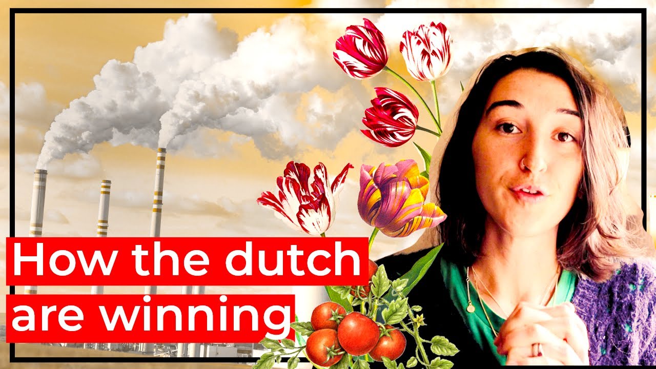 Dutch systems that might just be the best......