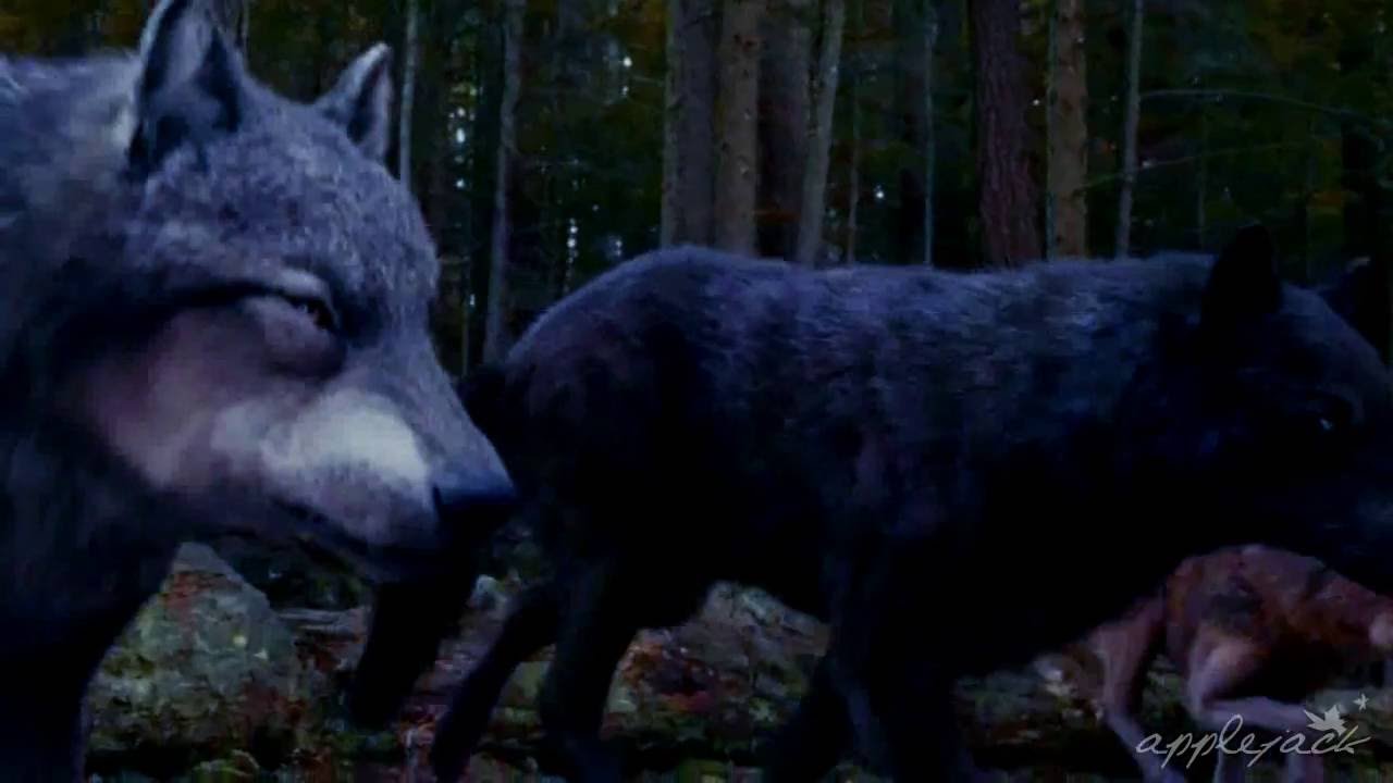 Paul Lahote/OC twilight fanfiction trailer (Save me)