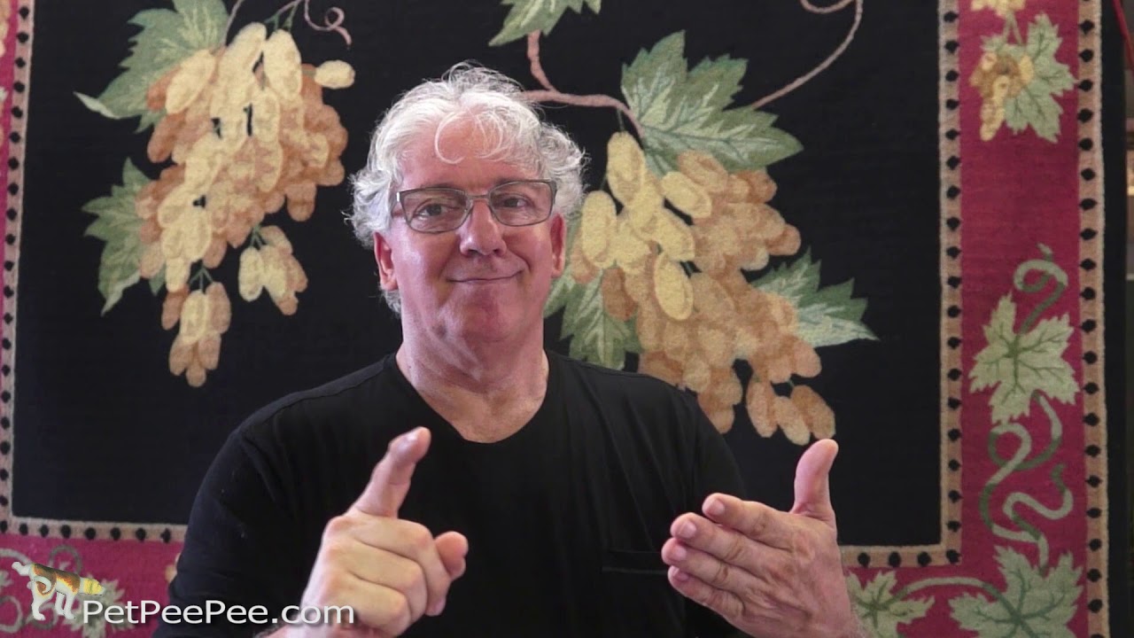 Demand guarantee in writing urine odor removal or lose your money!