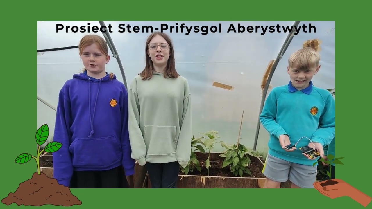 Gardd hardd Ysgol Penllwyn