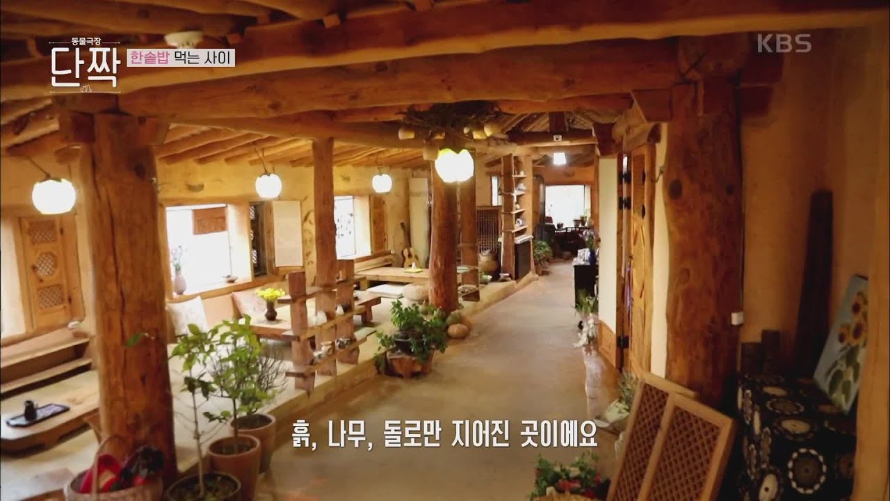 변화 무쌍한 시골, 가족이 사는 집 [동물극장 단짝] | KBS 230128 방송